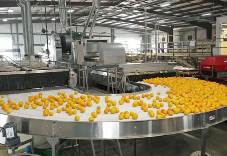 Fruit Processing Industries